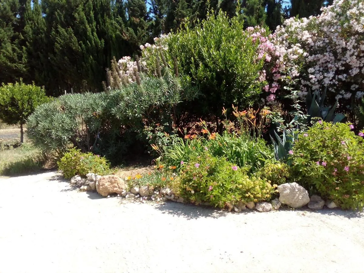 Le Rose Apartment Olmedo 0*,  Italy