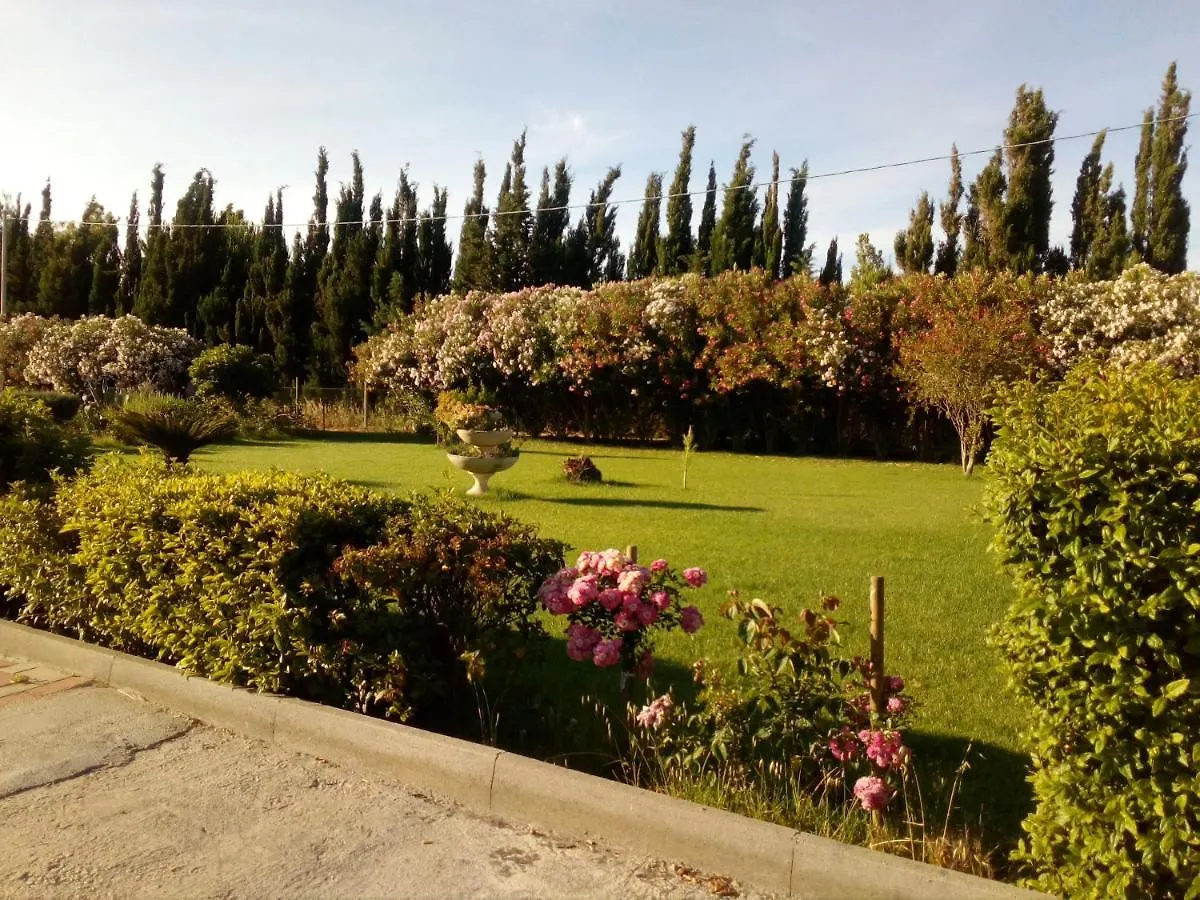 Le Rose Apartment Olmedo
