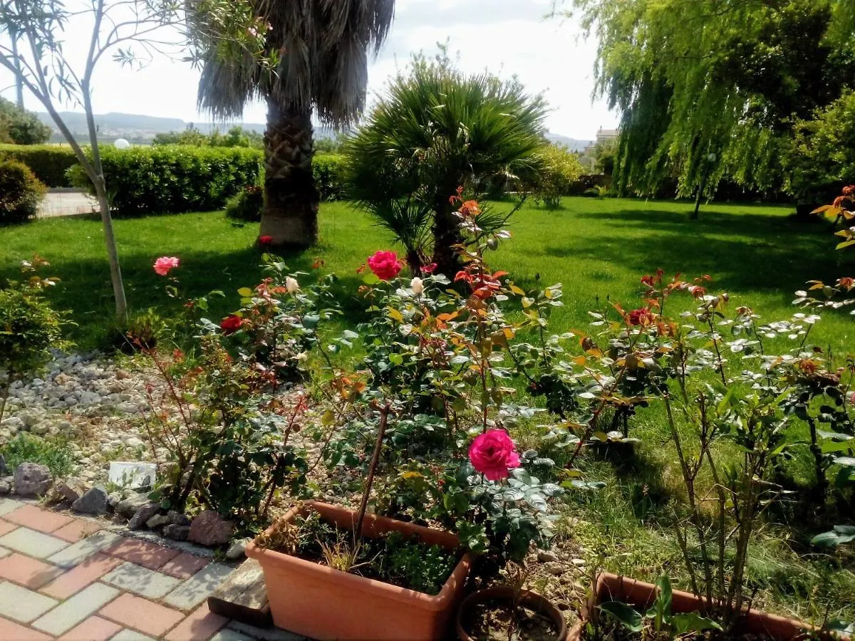 Le Rose Apartment Olmedo