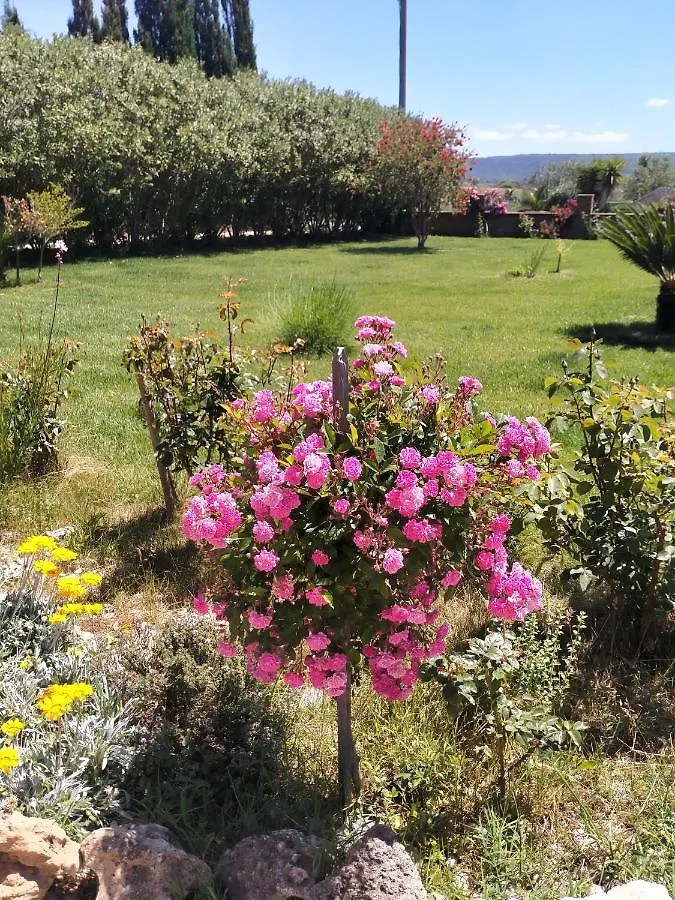 Le Rose Apartment Olmedo