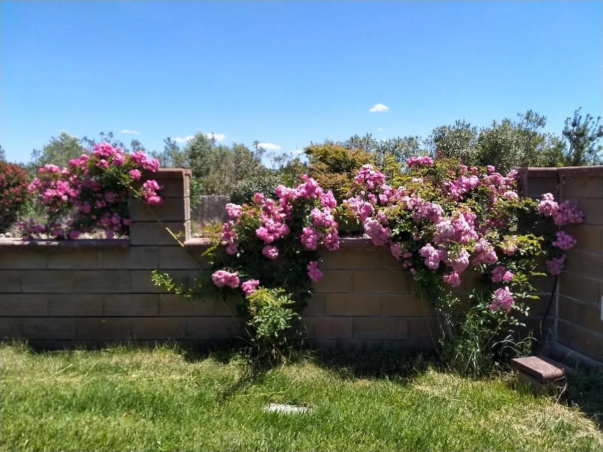 Le Rose Apartment Olmedo 0*,