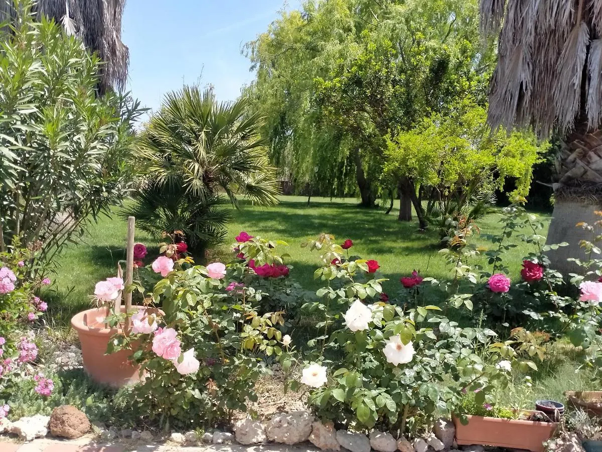 Le Rose Apartment Olmedo
