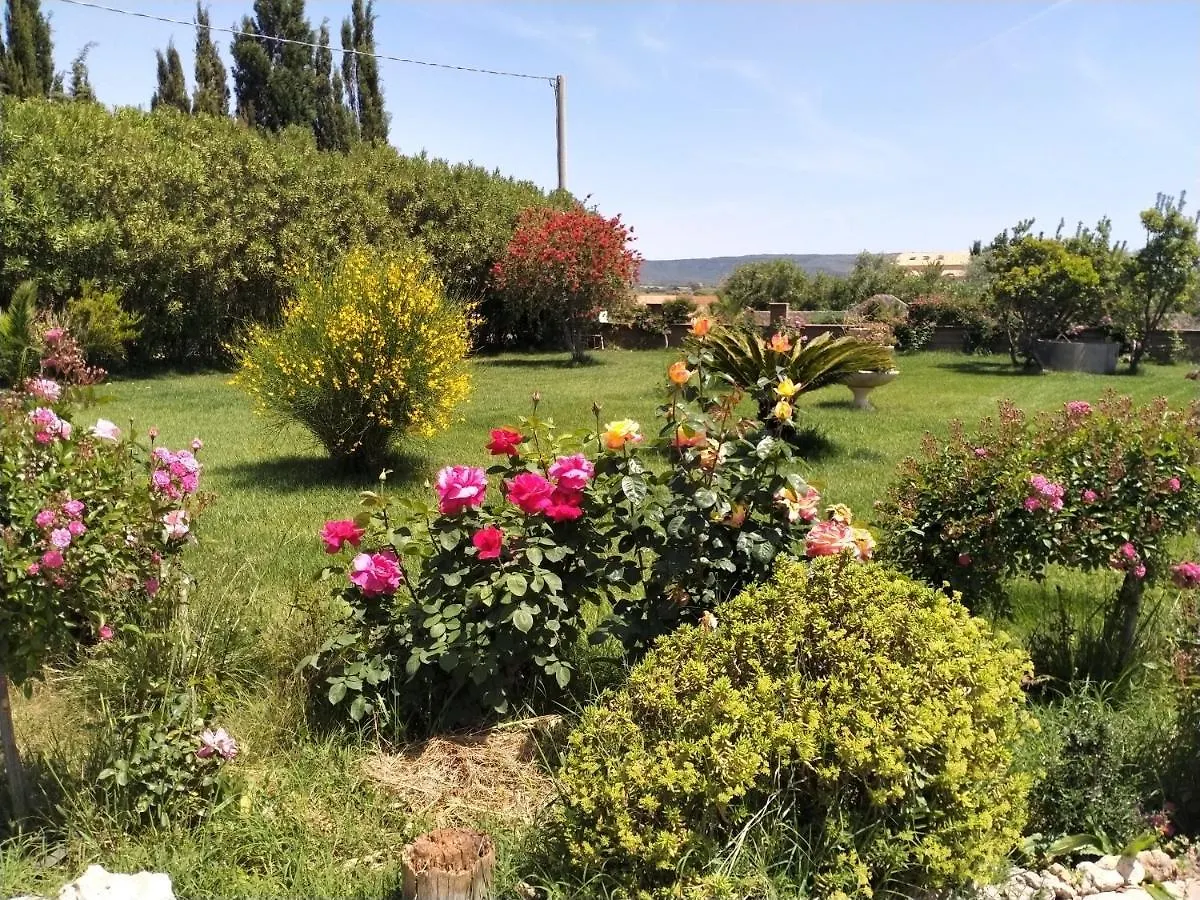 Le Rose Apartment Olmedo 0*,  Italy