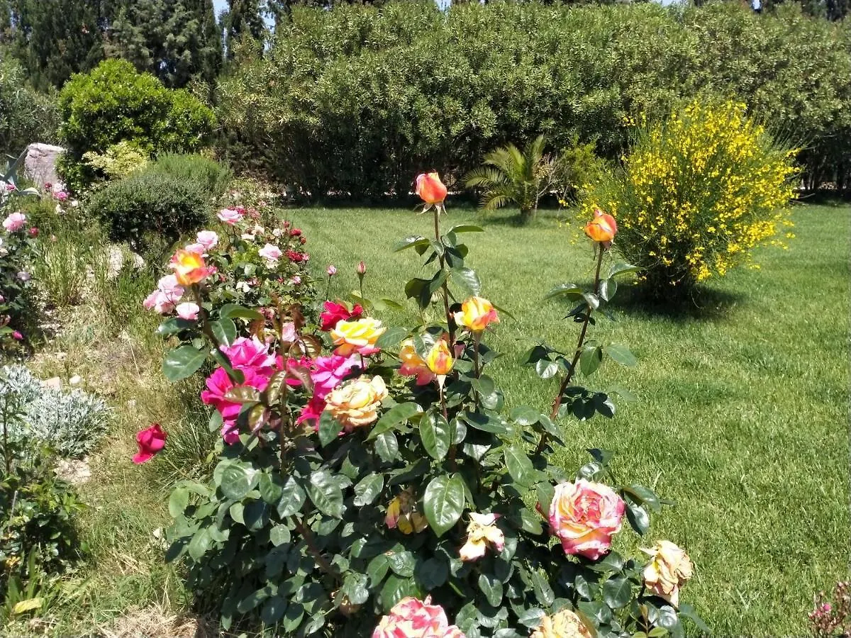 Le Rose Apartment Olmedo Italy