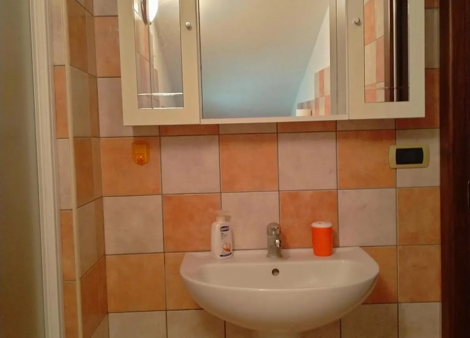 Le Rose Apartment Olmedo