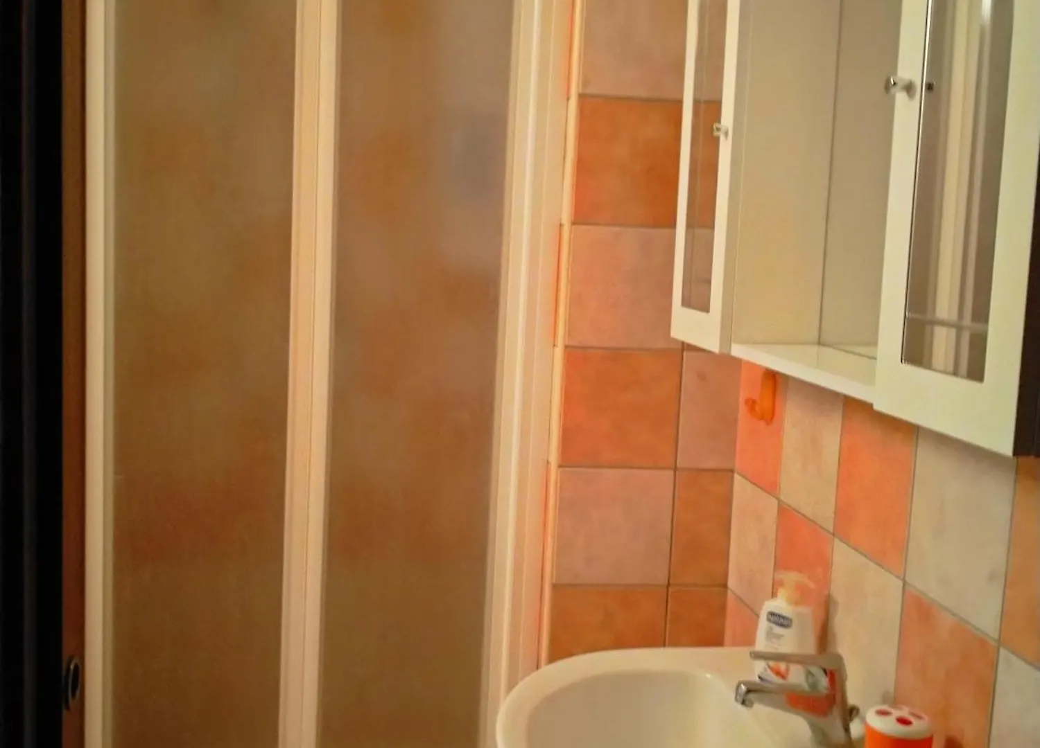 Le Rose Apartment Olmedo