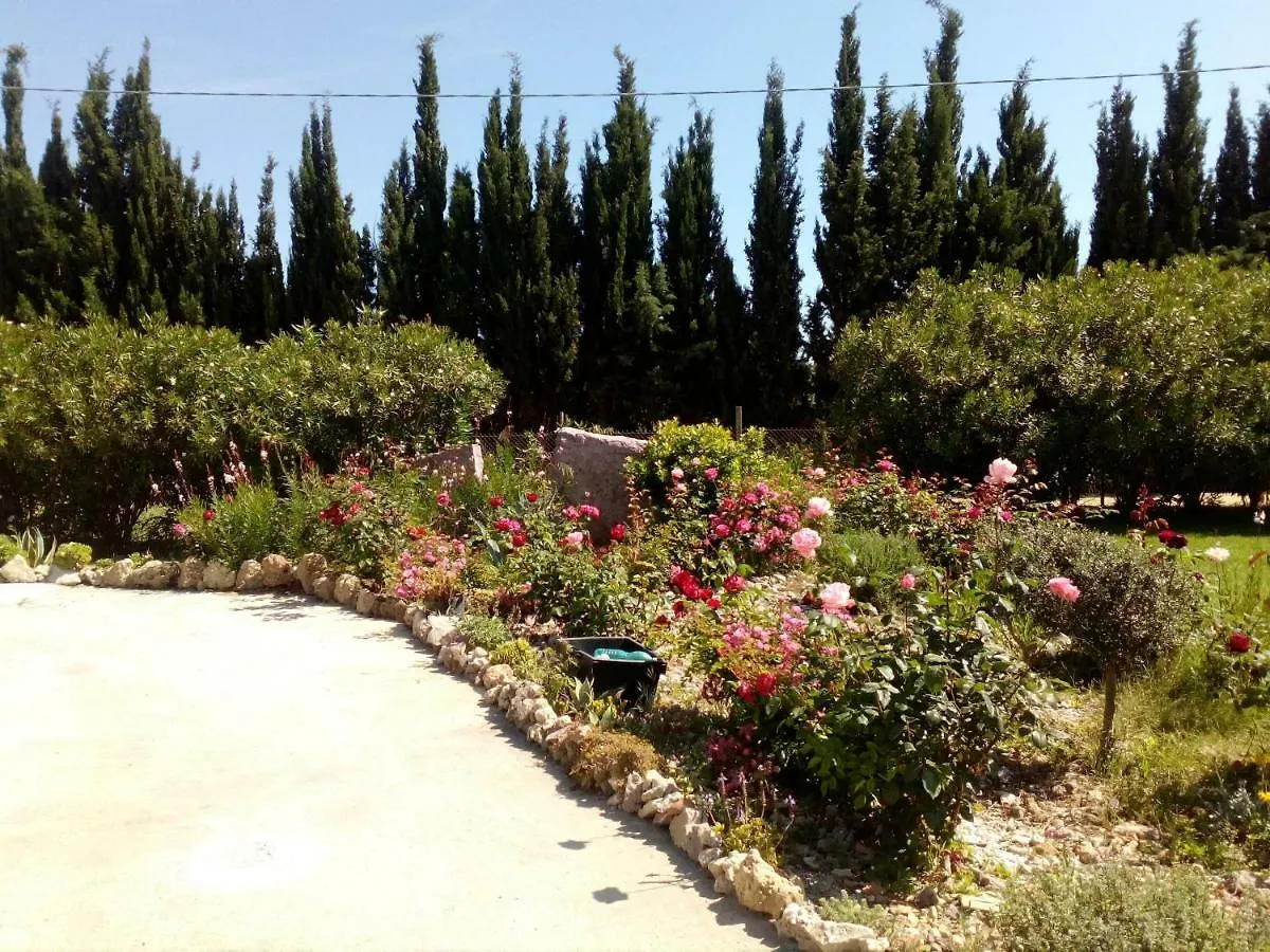 Le Rose Apartment Olmedo Italy