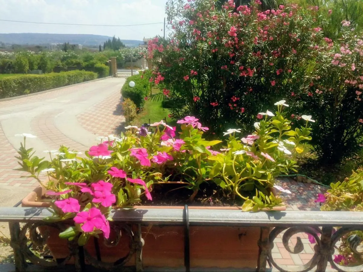 Le Rose Apartment Olmedo 0*,