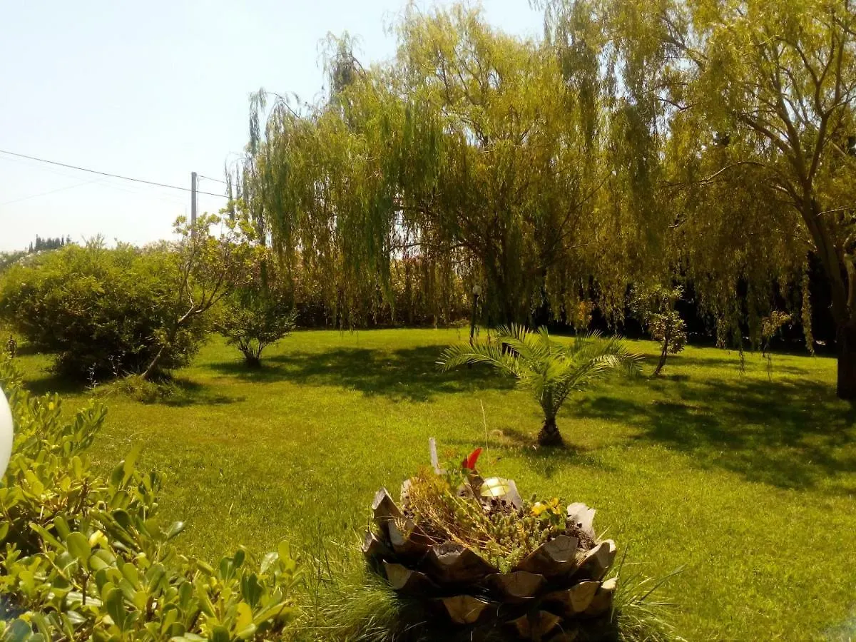Le Rose Apartment Olmedo