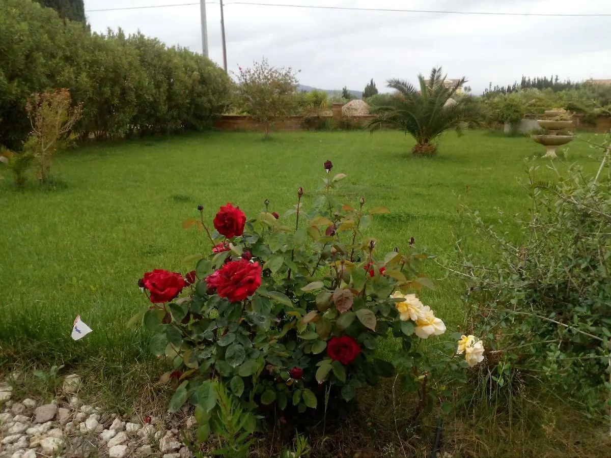 Le Rose Apartment Olmedo