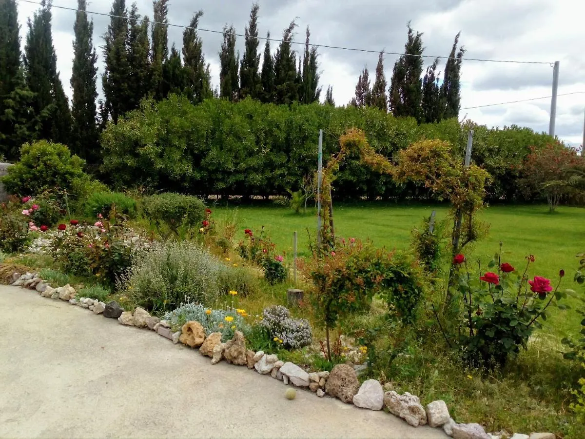 Le Rose Apartment Olmedo