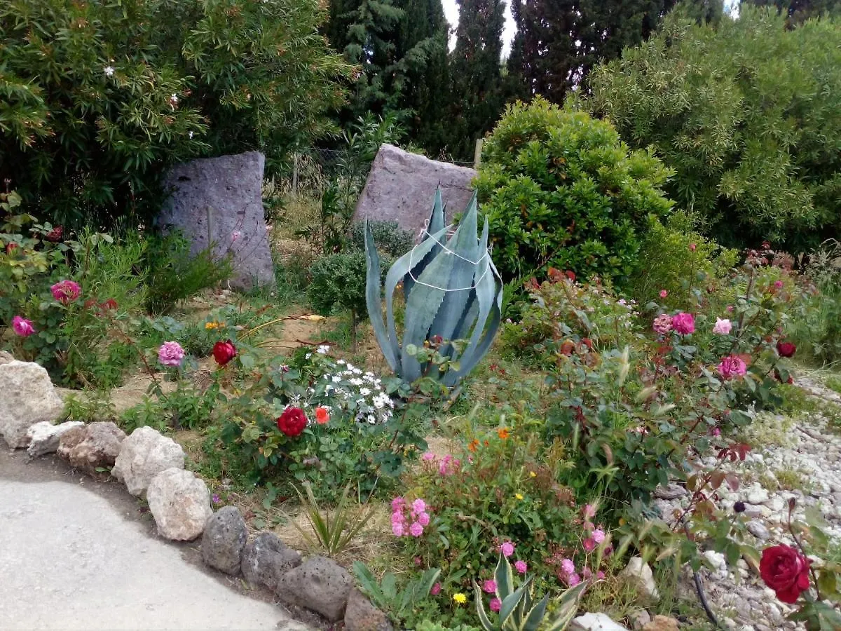 Le Rose Apartment Olmedo
