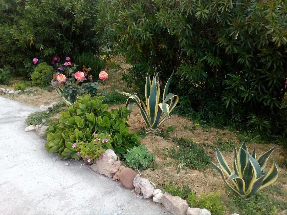 Le Rose Apartment Olmedo Italy