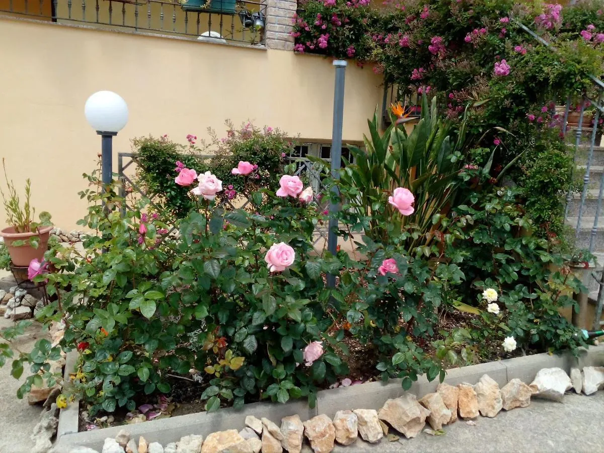 Le Rose Apartment Olmedo